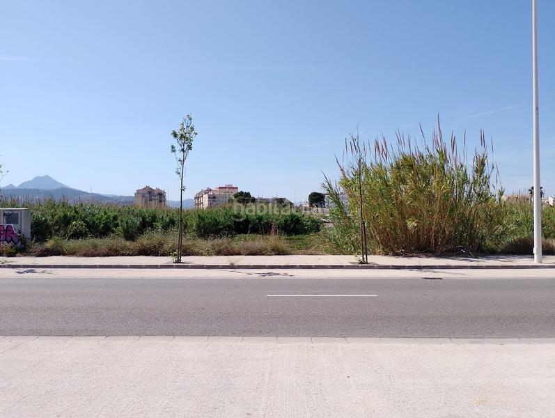 Foto 8aafe09b-afd7-4c95-ab67-55610f1a222f. Terrain résidentiel dans avinguda de les marines 26 dans Gandia