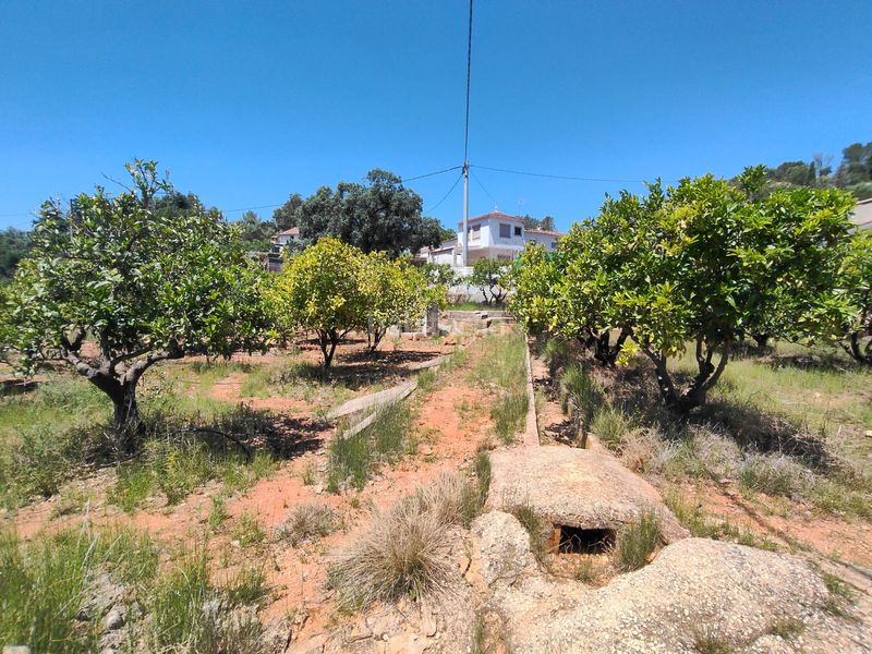 Foto c3d31247-57a0-444b-ac69-cc00dd568782. Masia a barri pla de corrals 211 a Simat de la Valldigna