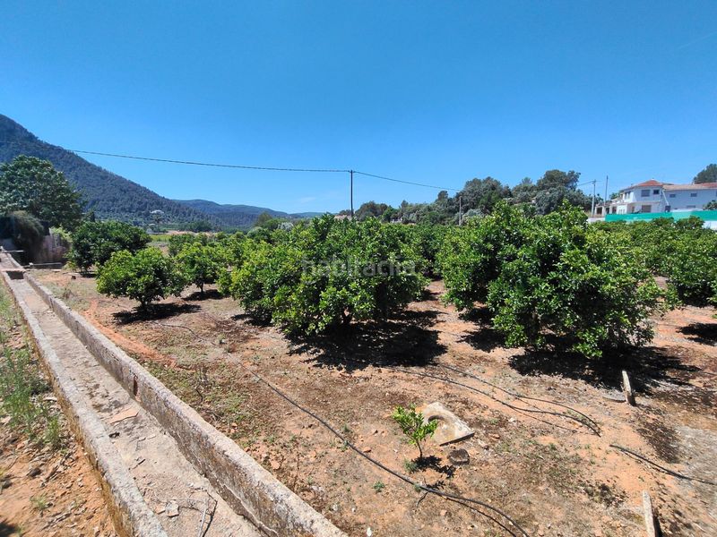 Foto fb826bec-c9cf-48e8-a13f-fcdf7b8b8a4c. Masia a barri pla de corrals 211 a Simat de la Valldigna
