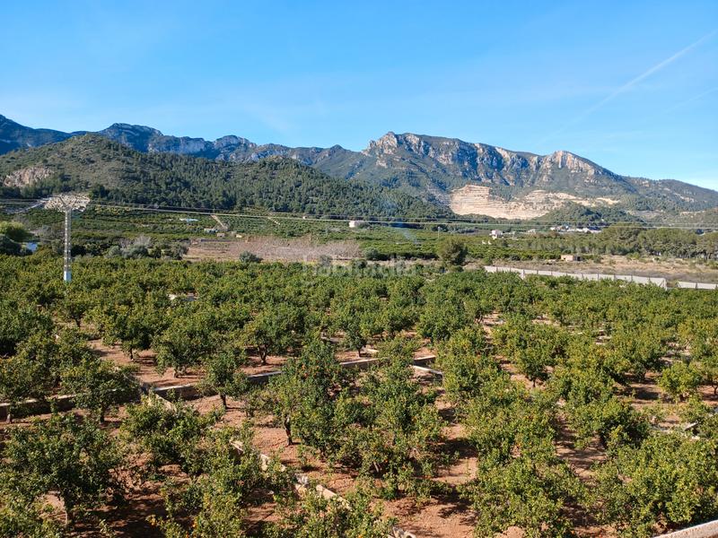 Foto 59cfb4ce-2408-4eab-b198-b0622e496df2. Finca rústica a Llaurí