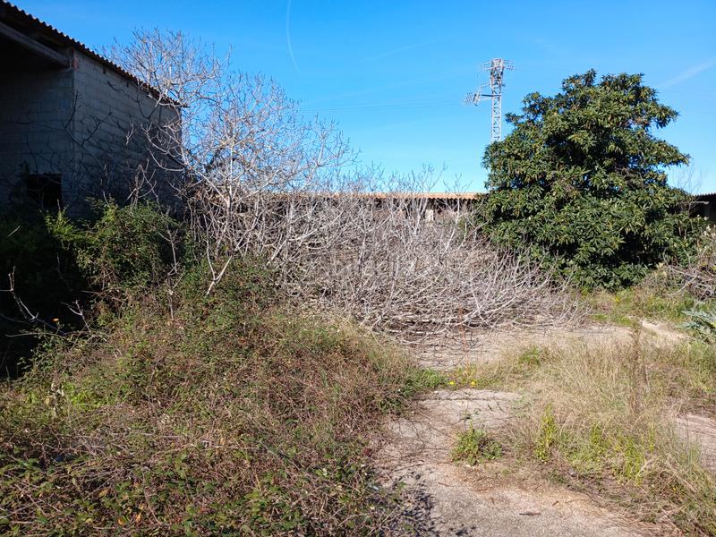 Foto 810d796f-c5a0-470b-a1c9-c60d7f94f02d. Finca rústica a Llaurí