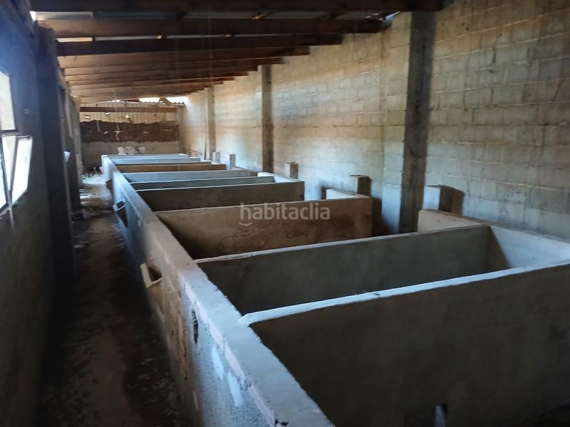 Foto f1940267-a116-4f20-9794-dc31de49742a. Finca rústica a Llaurí