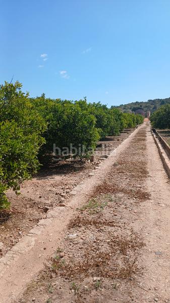 Foto 02c66500-2317-486d-b327-d8489977c897. Finca rústica terreno rústico en Corbera