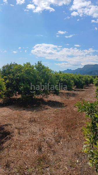 Foto 80398a96-a35c-406d-99ed-80dda0b03d6f. Finca rústica terreno rústico en Corbera