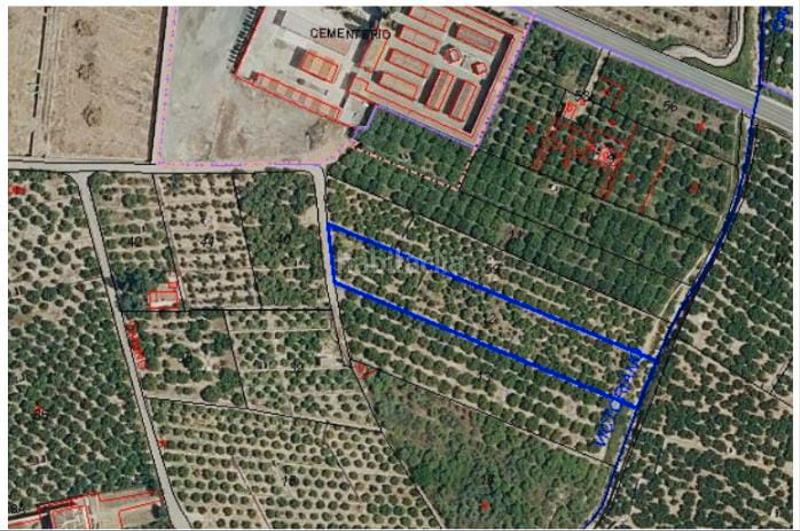 Foto e24b61c6-effa-4feb-99d2-b65e5ad14bee. Landgut in Corbera