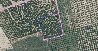 Finca rústica en Corbera. Les bases-rústico