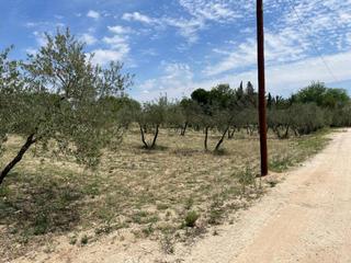 Terreno residenziale in Morón de la Frontera. Parcela en la mata alcozarina