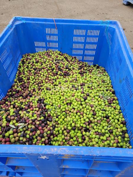 Foto f77dc029-51f7-46ff-8fe6-e35d75fd7d1f. Casale con piscina in La Magdalena - Molinos Marfagones Cartagena