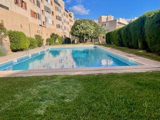 Flat in Son Dameto
