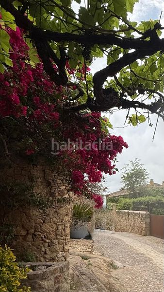 Foto fae75303-1b00-4132-a0ff-be79ca07f65b. Masia a Pals
