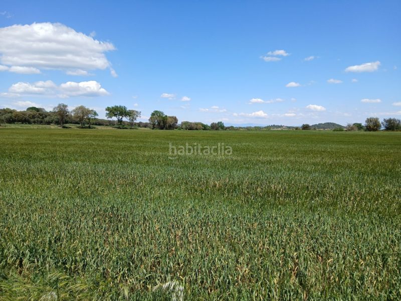 Foto 56dcde79-b7b2-4727-b686-6edb435522f2. Masia a Corçà