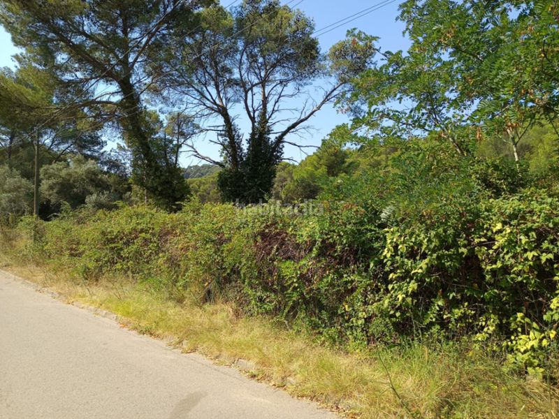 Foto 4a10f286-9646-4eb8-b4d2-171b4b569669. Residential plot in Tamariu