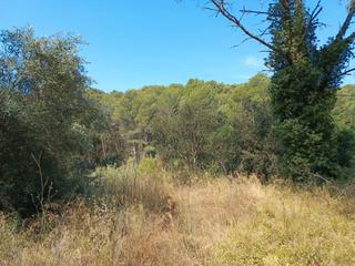 Terreno residenziale in Tamariu