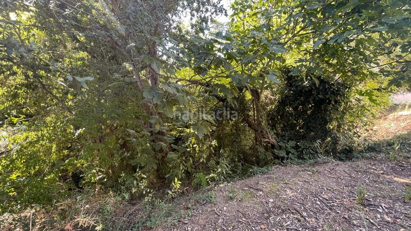 Foto c34fb95f-1dd2-462c-a1ac-f178ae9970c1. Terreny residencial a Foixà