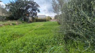 Residential Plot in Molí de Vent-La Sauleda