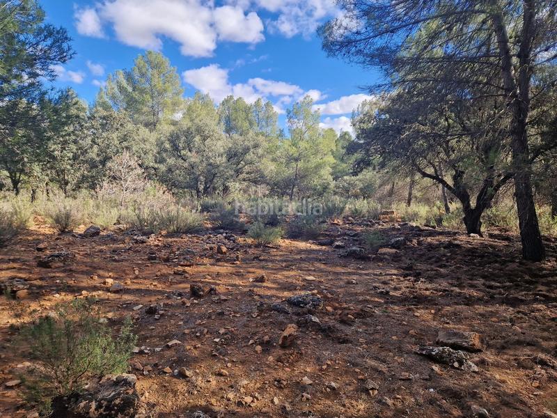 Foto 0ac9f535-4170-406f-b963-d8fefd5078fa. Propriété dans pantano de peñarroya 0 dans Argamasilla de Alba