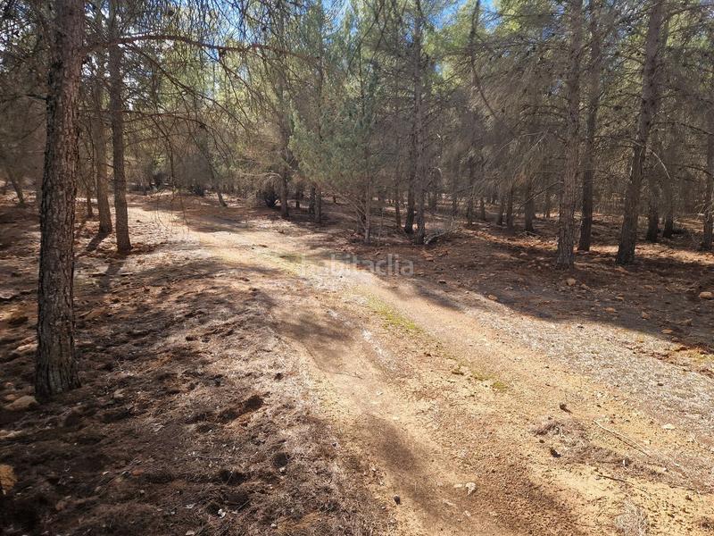 Foto 1c2fde6c-d3d2-40ae-aa1a-28b7cefebbcc. Propriété dans pantano de peñarroya 0 dans Argamasilla de Alba