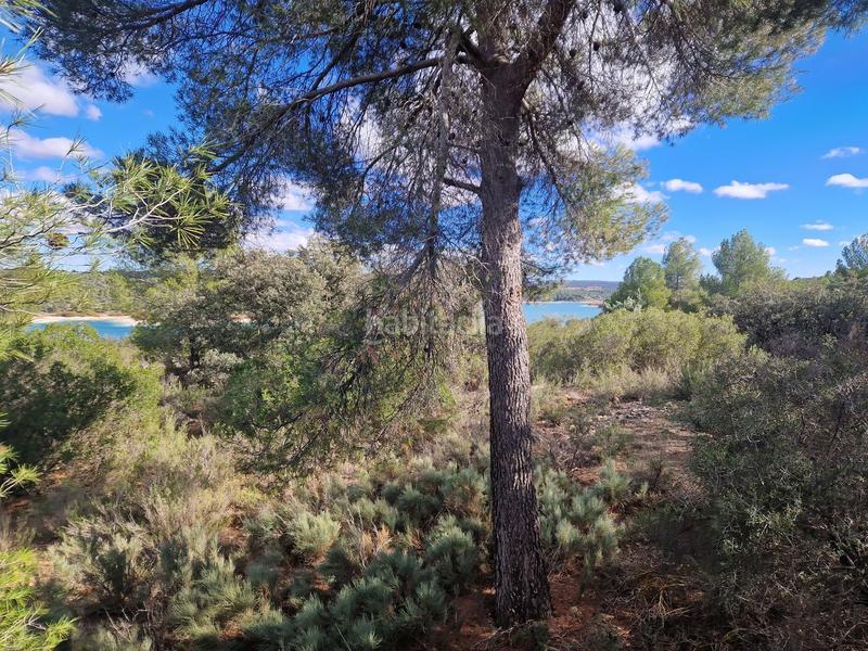 Foto 1cbe8dfa-df54-4953-8a91-372558434523. Propriété dans pantano de peñarroya 0 dans Argamasilla de Alba