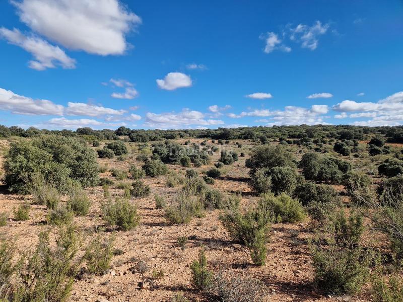 Foto 1efb70f2-5074-4bec-94b5-fbdb5cffd41e. Propriété dans pantano de peñarroya 0 dans Argamasilla de Alba
