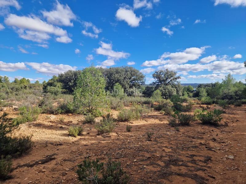 Foto 5399c468-32bb-4ede-ba0e-15dd2e89760f. Propriété dans pantano de peñarroya 0 dans Argamasilla de Alba