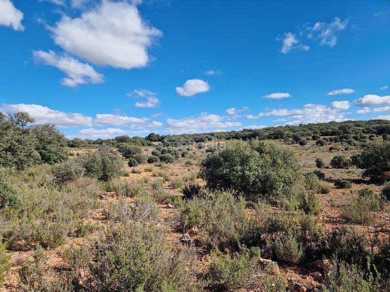 Foto 722a7851-fe49-4a43-bf16-8ab8df536564. Propriété dans pantano de peñarroya 0 dans Argamasilla de Alba