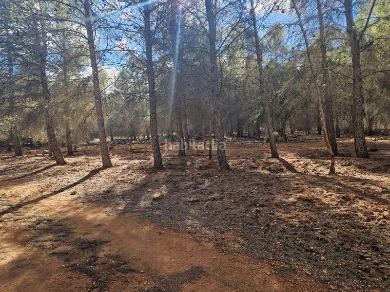 Foto babe721f-ccaa-47d5-84e5-1100edabeebd. Propriété dans pantano de peñarroya 0 dans Argamasilla de Alba