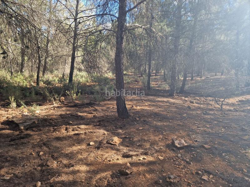 Foto c89585f5-e17d-4f86-82cd-c540d9ef9ca0. Propriété dans pantano de peñarroya 0 dans Argamasilla de Alba