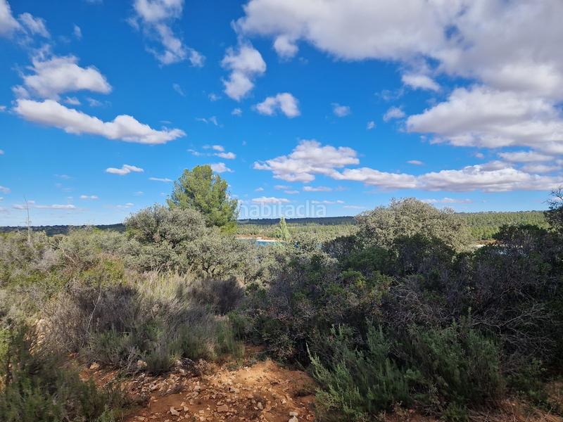 Foto ca059920-3e58-46c1-bdf5-1de11acbab66. Propriété dans pantano de peñarroya 0 dans Argamasilla de Alba