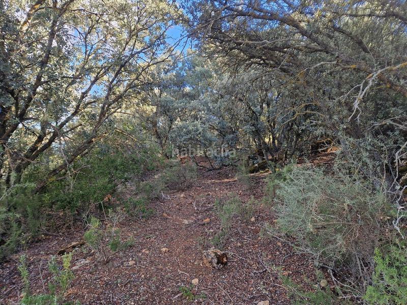 Foto d1f6e322-cc36-4f1a-b372-6a19be070489. Propriété dans pantano de peñarroya 0 dans Argamasilla de Alba