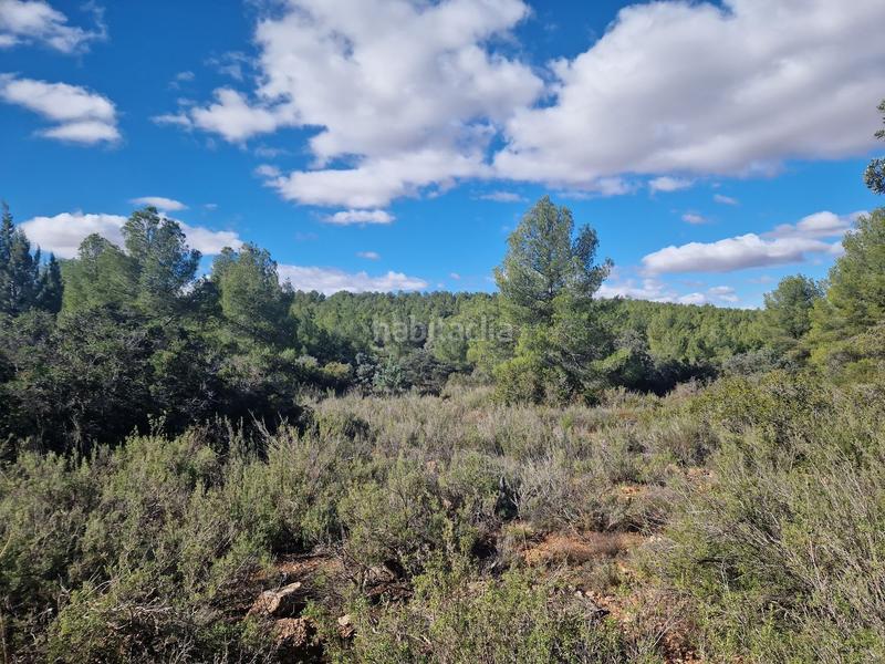 Foto d21b8da4-d1a7-4ea8-826e-e8f1d2a8da0e. Propriété dans pantano de peñarroya 0 dans Argamasilla de Alba