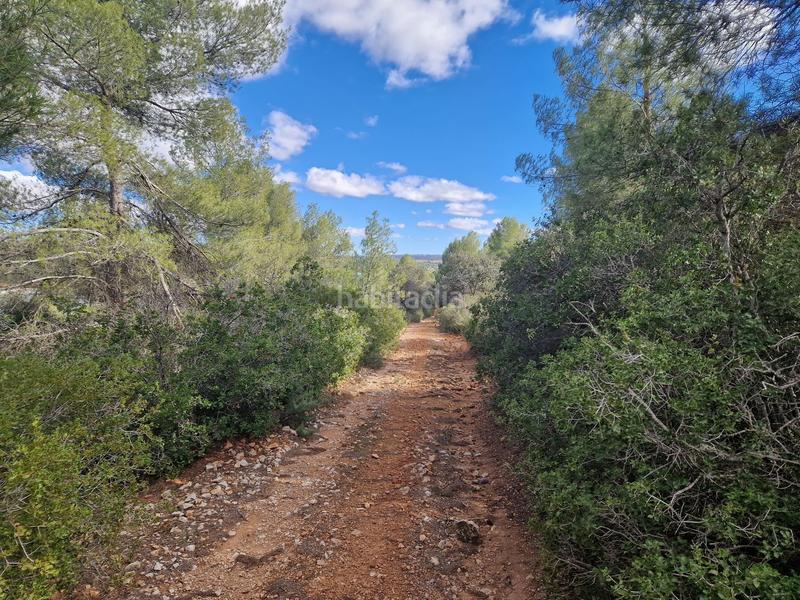 Foto e71ce060-537a-4d91-8e7f-c5f223fb7320. Propriété dans pantano de peñarroya 0 dans Argamasilla de Alba