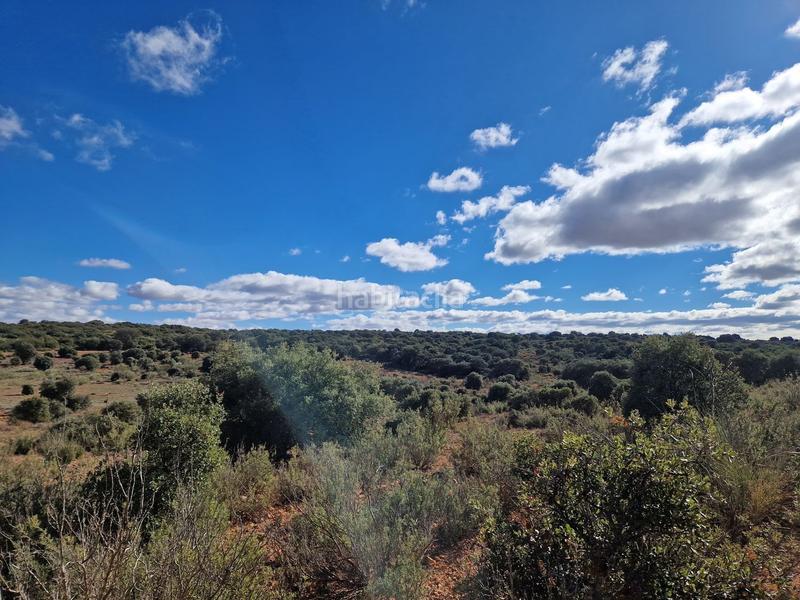 Foto 1ee51cad-6b5e-4510-9af4-6fdcd594fbe8. Finca rústica a pantano de peñarroya 0 a Argamasilla de Alba