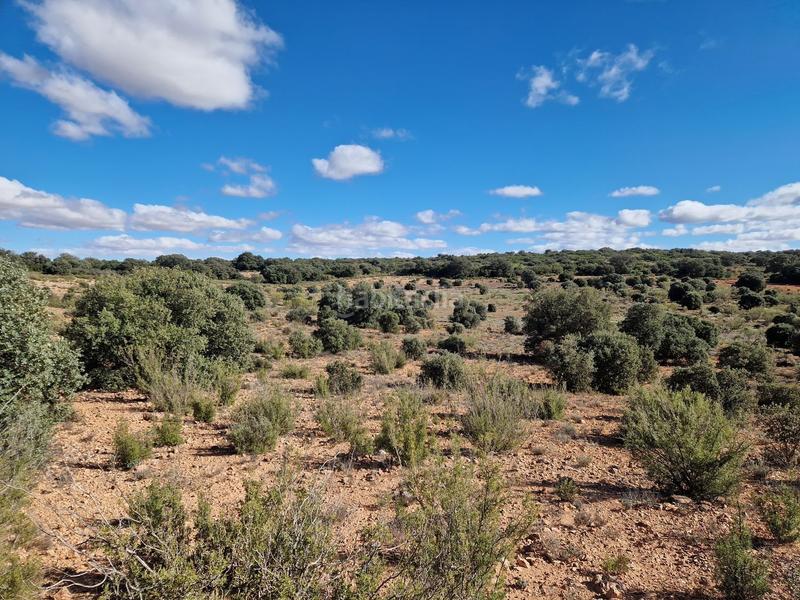 Foto 3675395a-4e94-4b39-a1b3-6d15a5c6f326. Finca rústica a pantano de peñarroya 0 a Argamasilla de Alba