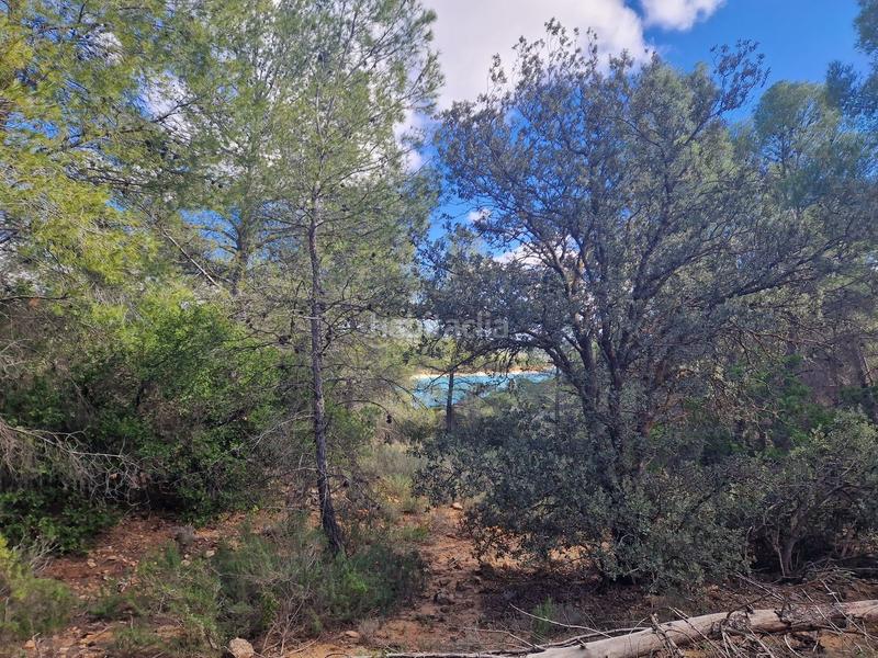 Foto 3f4d5cc5-8458-4c92-93fd-f46bf57fe720. Finca rústica a pantano de peñarroya 0 a Argamasilla de Alba