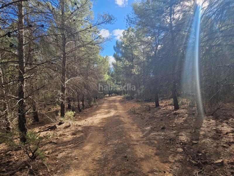 Foto 786c82d1-728a-413a-b3b4-82f8def7f4cb. Finca rústica a pantano de peñarroya 0 a Argamasilla de Alba