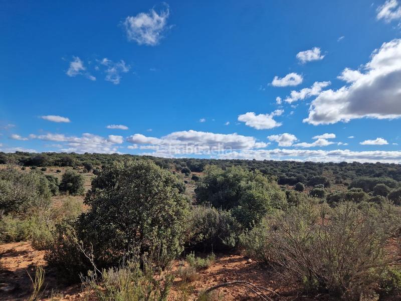 Foto 88aec7fe-7d89-40e0-be2b-3d29cfcd99d5. Finca rústica a pantano de peñarroya 0 a Argamasilla de Alba