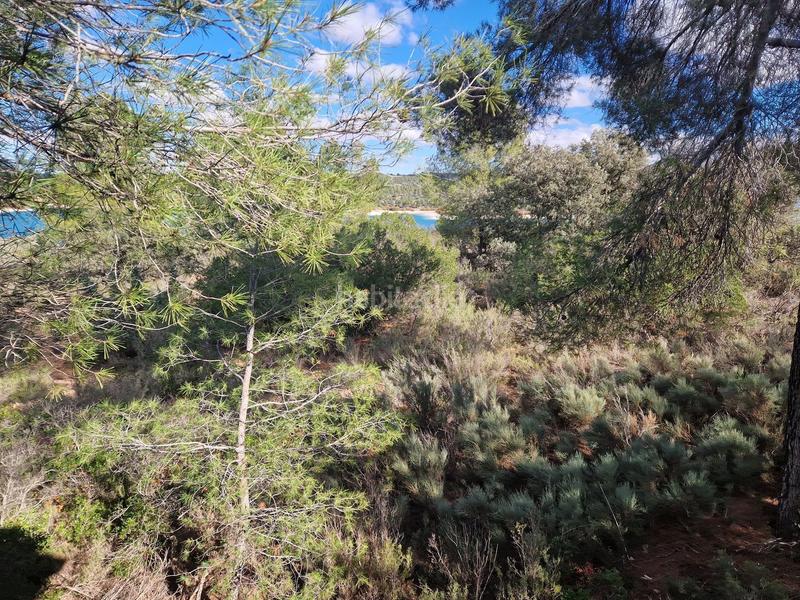 Foto b0c8bca0-8d1c-4c1d-9169-bee27f48835f. Finca rústica a pantano de peñarroya 0 a Argamasilla de Alba