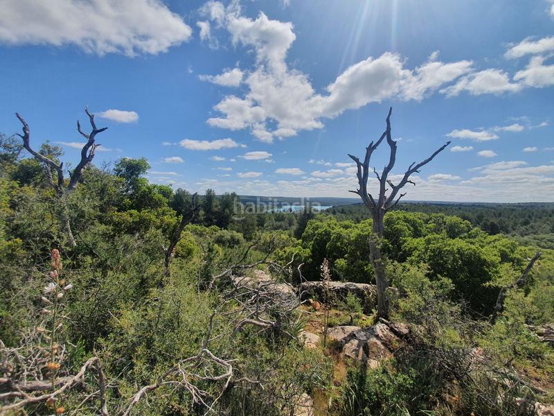 Foto d2dad1f0-b591-4a0f-a66b-fef88ed99cb4. Finca rústica a pantano de peñarroya 0 a Argamasilla de Alba