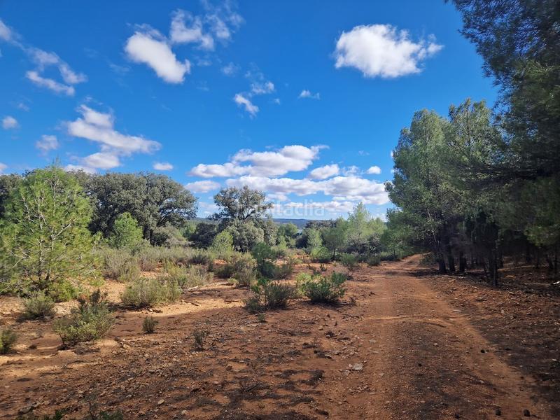 Foto e08282e6-2017-4d1f-b98e-65a753bd1d8d. Finca rústica a pantano de peñarroya 0 a Argamasilla de Alba