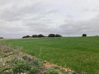 Finca rústica a Campomanes 0