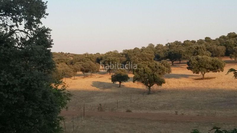 Foto 8ba3b8e8-018e-430b-a47c-115ab745dce3. Casale in Almodóvar del Campo