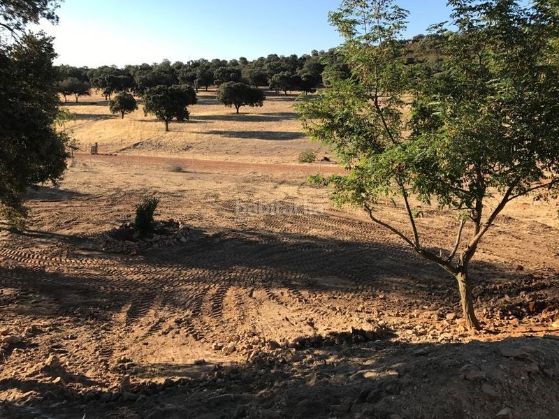 Foto a5a09355-2962-413f-90e4-f4a0097e9cba. Casale in Almodóvar del Campo
