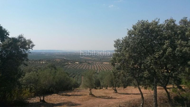 Foto bbf2b16a-0b10-4185-bbc1-fc917259f752. Casale in Almodóvar del Campo