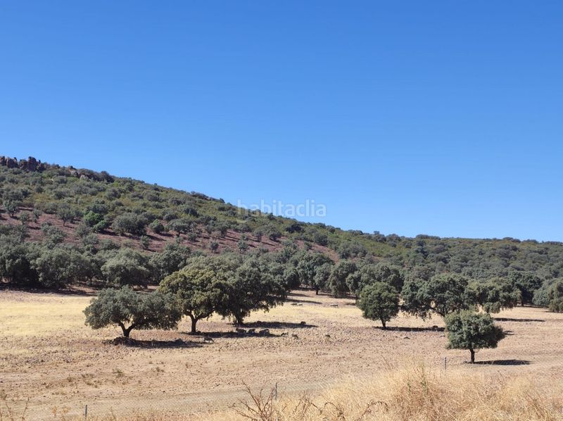 Foto daacfe20-459b-41f0-8658-38b41631e579. Casale in Almodóvar del Campo