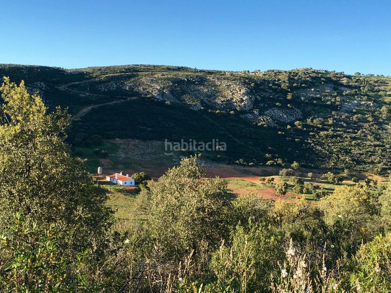 Foto e3f05155-3d43-4567-8a0d-6fd2c326334b. Casale in Almodóvar del Campo