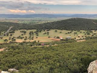 Masia a Almodóvar del Campo
