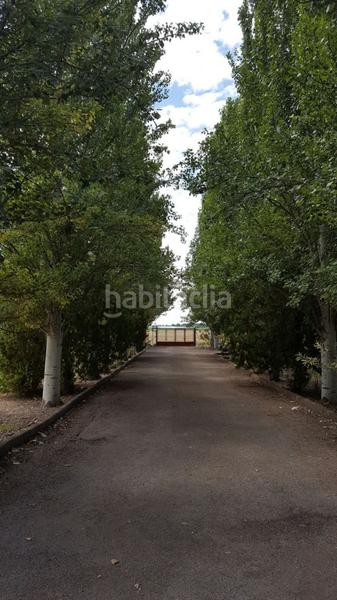 Foto c59edd79-e806-46e3-82f7-0ef987d3071b. Chalet in carretera las casas 0 in Área Rual - Valverde - Las Casas Ciudad Real