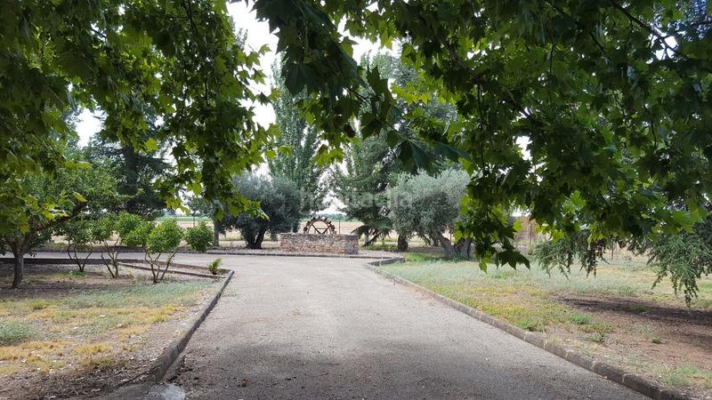 Foto fe61f709-5b9e-4021-af7b-97d338f1d926. Xalet a carretera las casas 0 a Área Rual - Valverde - Las Casas Ciudad Real