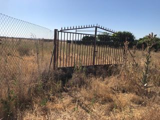 Fondo rustico in Carretera carretera pozuelo de calatrava ballesteros. Se venden 2 parcelas rusticas en pozuelo laguna y membrilleja!