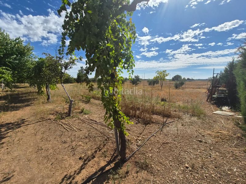 Foto fd5bba8e-ccf8-40a3-b04d-cf243f49132d. Casa amb aparcament piscina a Área Rual - Valverde - Las Casas Ciudad Real